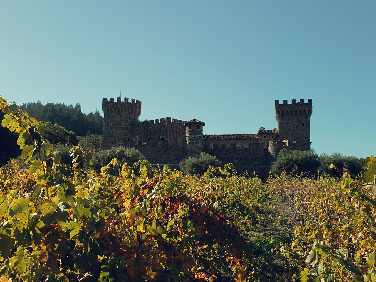 castello di amerosa